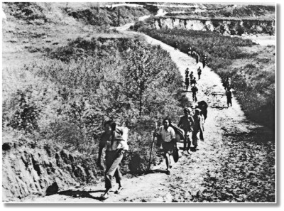 1762135673573883.jpg res1011_attpic_brief.jpg