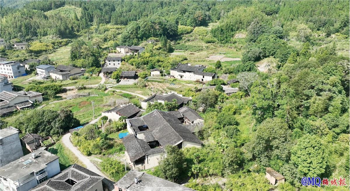 1762158663516322.jpg 1762158663516322.jpg