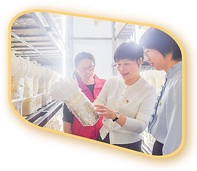 1762825295858667.jpg aa4c935d-c504-4b01-9d2e-df6392337b6d.jpg