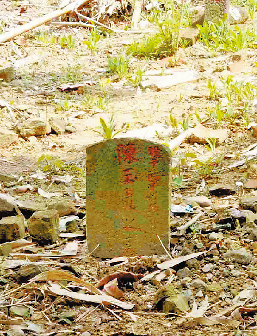 1762996832614290.png 1762996832614290.png