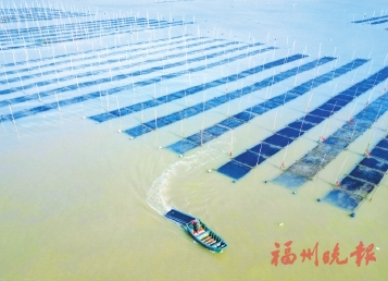 1764035505724776.jpg 20251125_A04_03_95.jpg