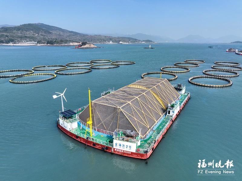 1764659952825692.jpg 598840_2d78b076-04c6-46de-b261-dea937ab23db.jpg