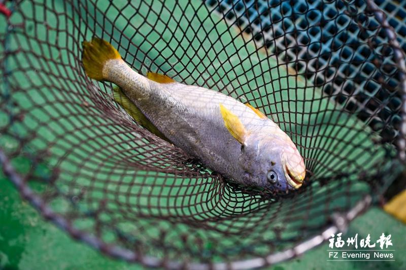 1764659969738905.jpg 598840_cb42c14b-4973-494d-8477-152c1b2bb1f2.jpg