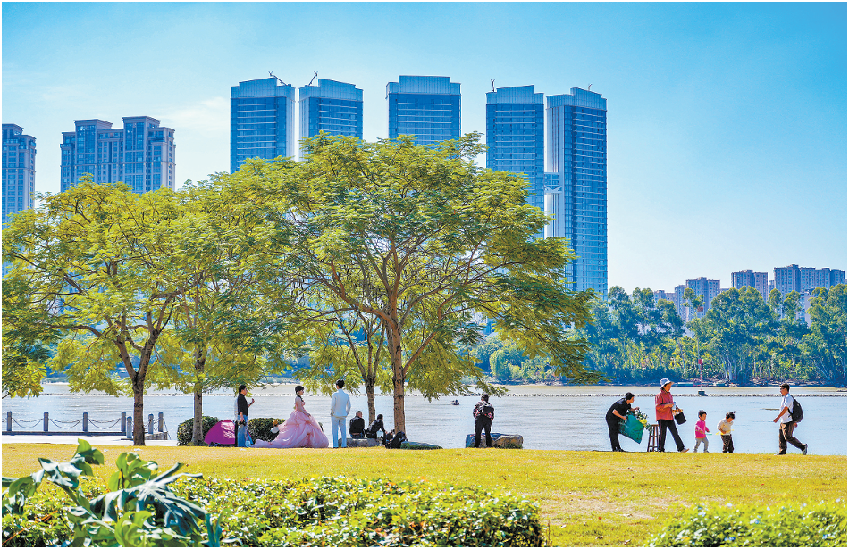 1765349314117975.png 1765349314117975.png