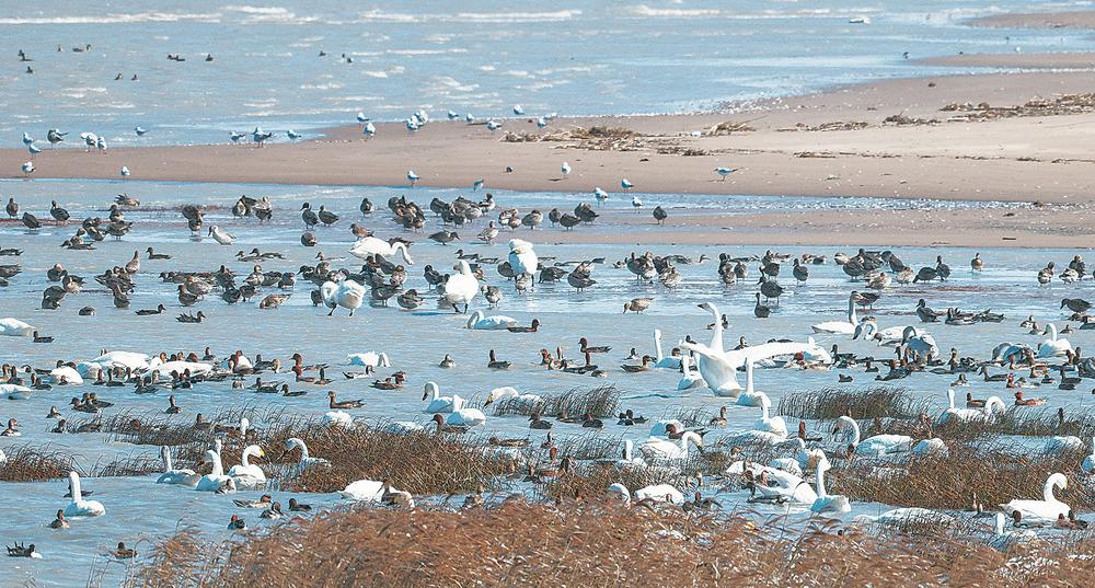 1765505759858430.jpg 1765505759858430.jpg