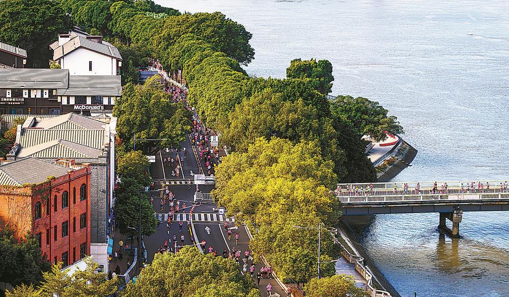 1765765236104796.jpg 1765765236104796.jpg