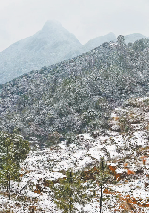 1766111654404706.png 1766111654404706.png