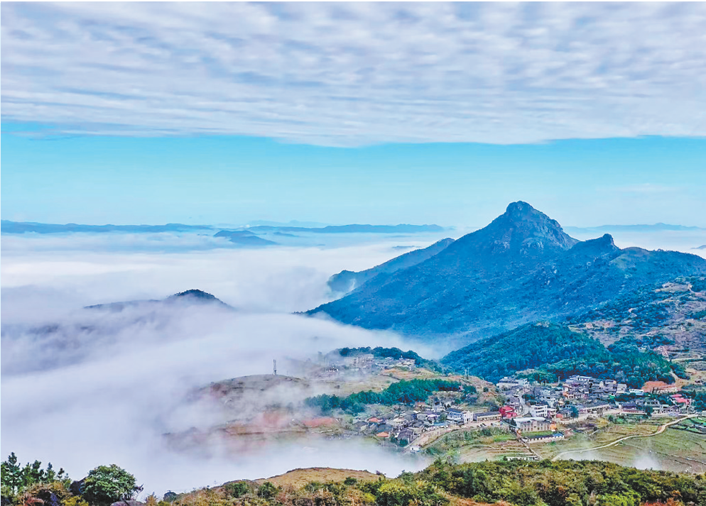 1766111683428716.png 1766111683428716.png