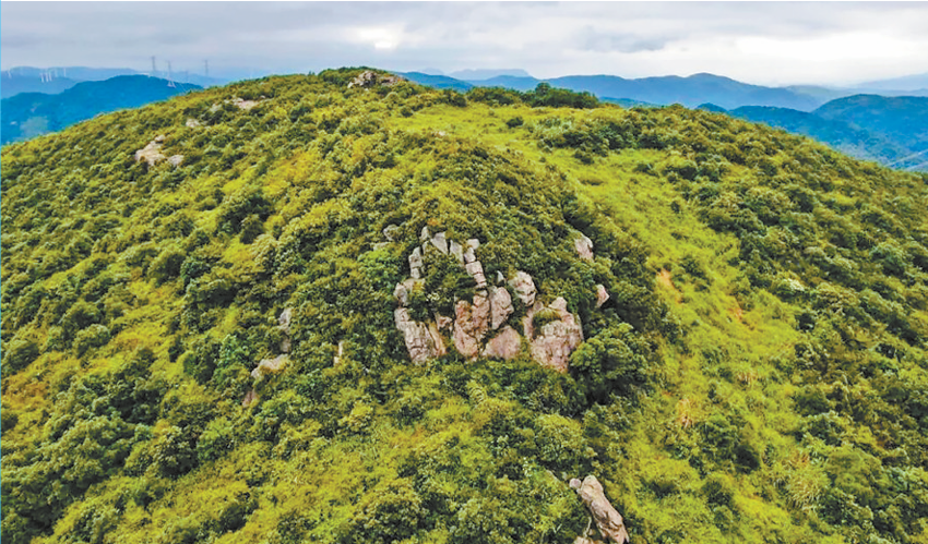 1766111725255573.png image.png