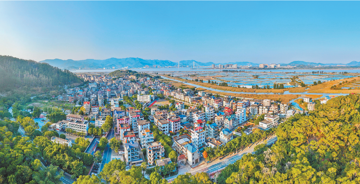 1766112115213899.png 1766112115213899.png