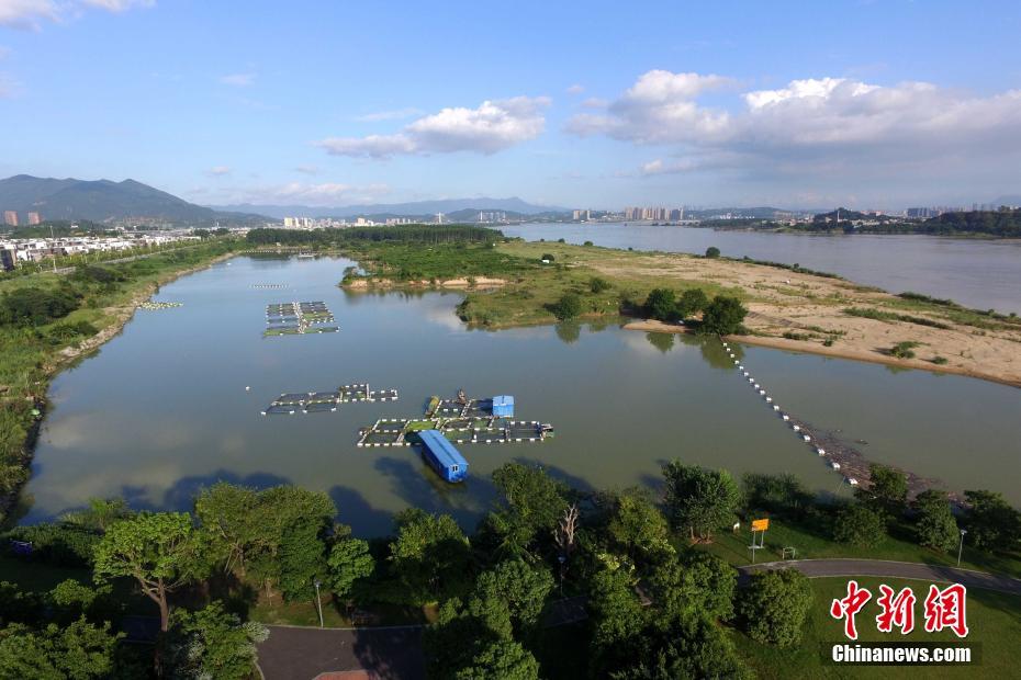 http://i2.chinanews.com/simg/hd/2016/10/03/ac174c9ea1ab401490727cb52e86acdd.jpg