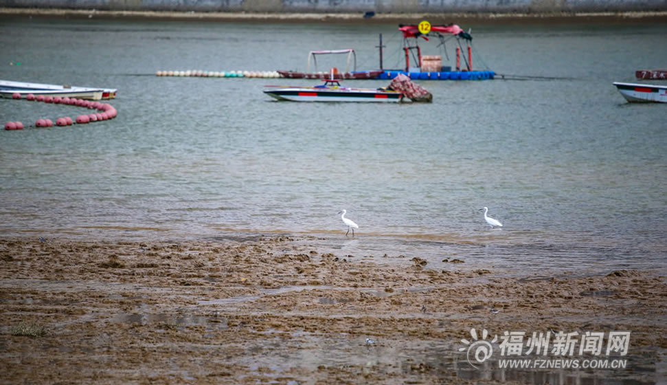 爱上福州城：拓印千年福州人记忆的旧洪山桥