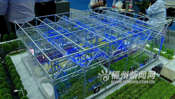从海交会看福州如何打造省会现代产业体系