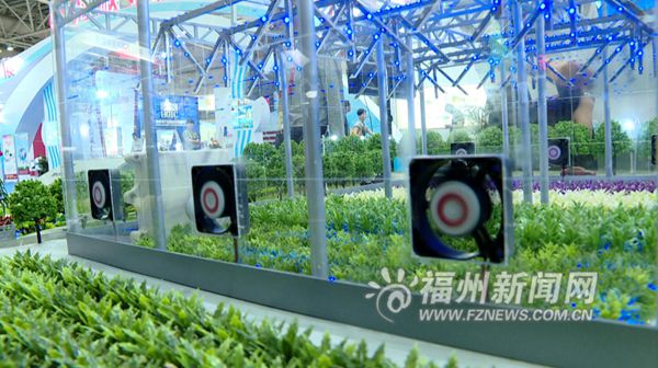 从海交会看福州如何打造省会现代产业体系