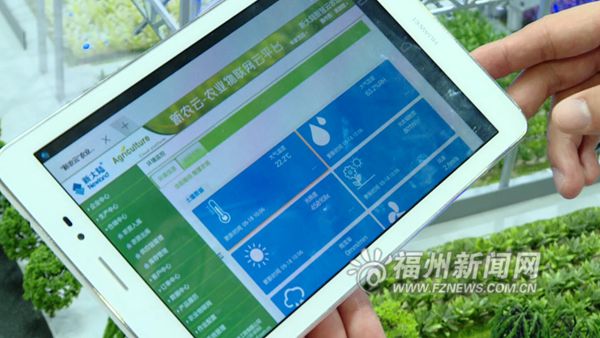 从海交会看福州如何打造省会现代产业体系