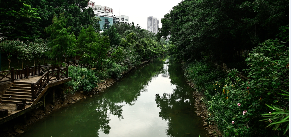 白马河：流淌千年的闽都“文脉”　花红柳绿无愧闽版十里秦淮