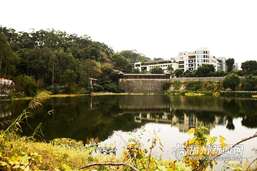 鼓楼福山（郊野）生态公园：林间穿越 城市生态后花园