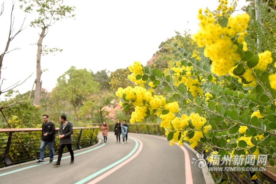 鼓楼福山（郊野）生态公园：林间穿越 城市生态后花园