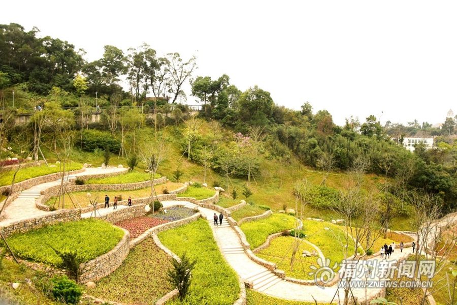鼓楼福山（郊野）生态公园：林间穿越 城市生态后花园