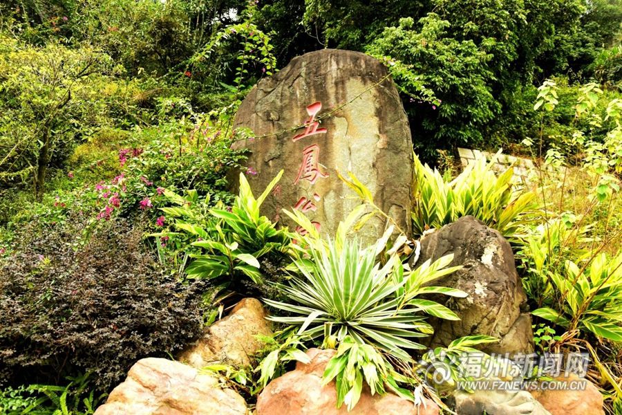鼓楼福山（郊野）生态公园：林间穿越 城市生态后花园