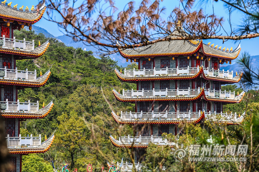 在般若苑遇见孔雀开屏
