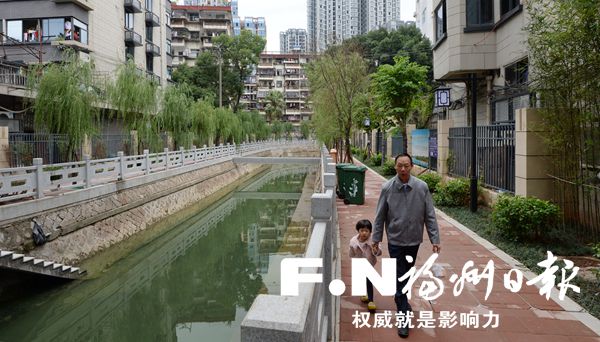 茶园河对外开放：去黑除臭迎新生 以水为脉造绿廊