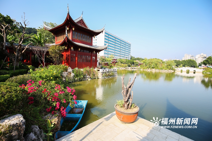 闹中取静的黎明湖公园