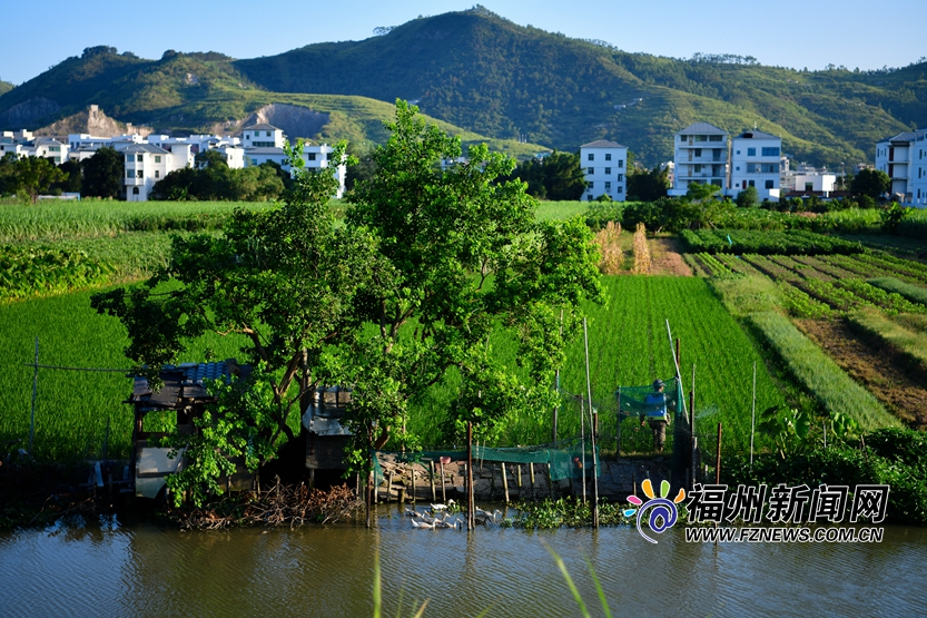 寻找塔礁洲公园里的城市湿地