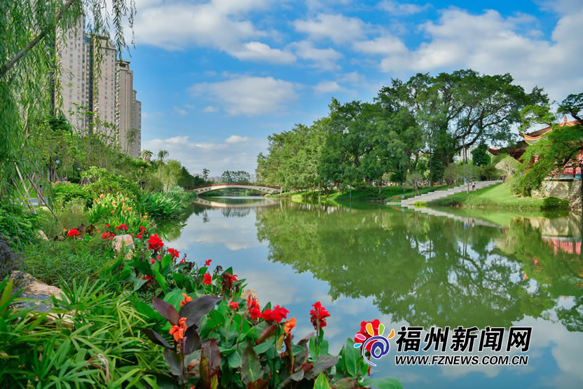 种大树造绿荫　流花叠影展新颜