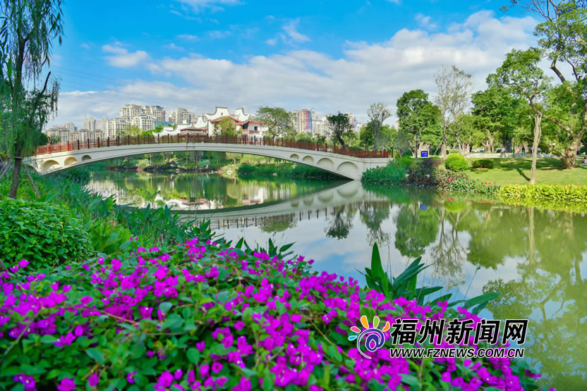 种大树造绿荫　流花叠影展新颜