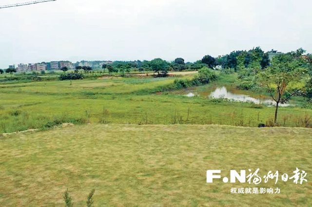 福州高新区： 昔日芦苇地 今朝产业兴