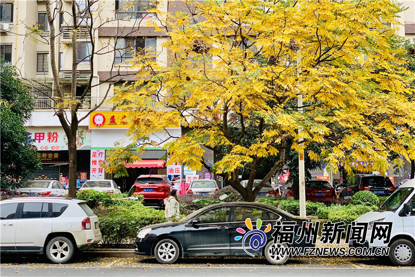 福州金港路：冬日里的一抹暖色