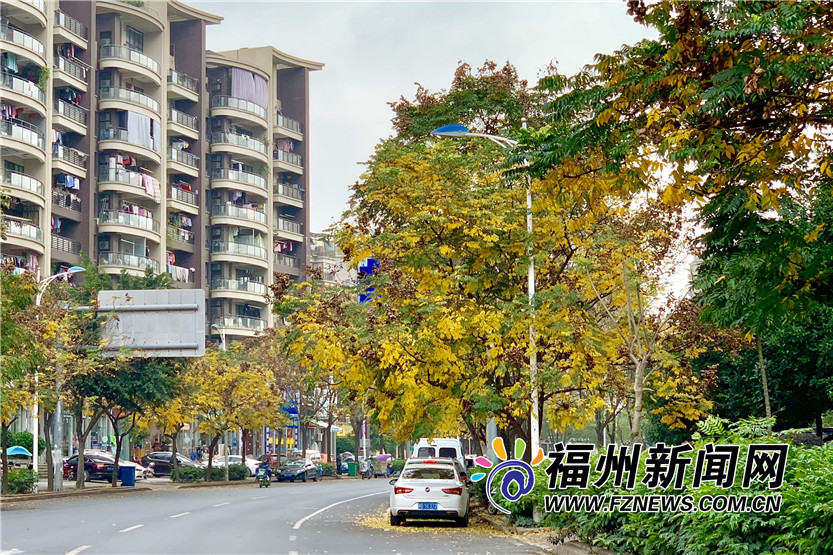 福州金港路：冬日里的一抹暖色