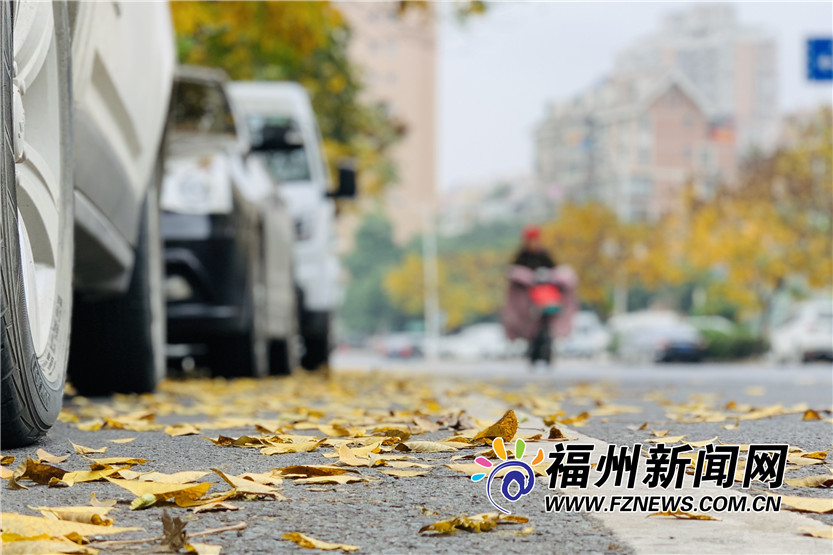福州金港路：冬日里的一抹暖色
