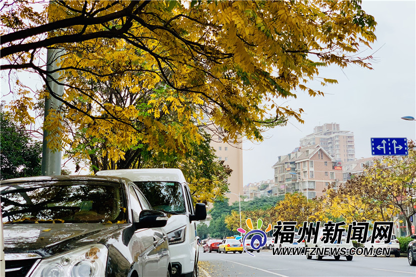 福州金港路：冬日里的一抹暖色