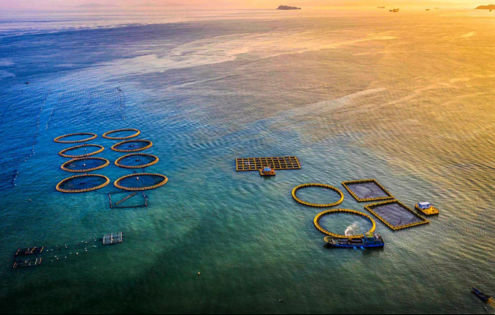 向海图强 奋楫争先 海上福建建设取得新成效