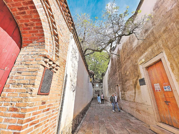 三坊七巷 流苏花开