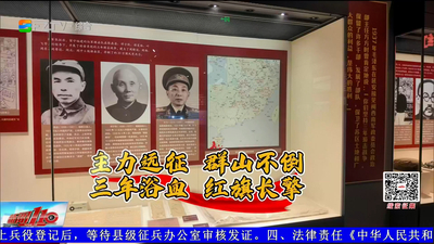 最远的长征：顽强坚守的三年游击