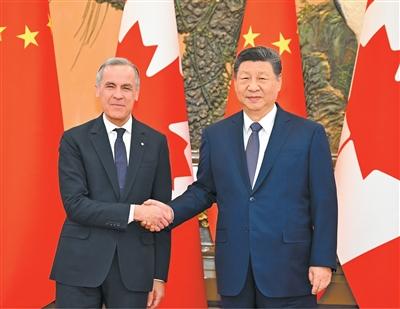 1768784226610726.jpg 6d49b863-4726-4881-816f-3b813f8e7cec.jpg