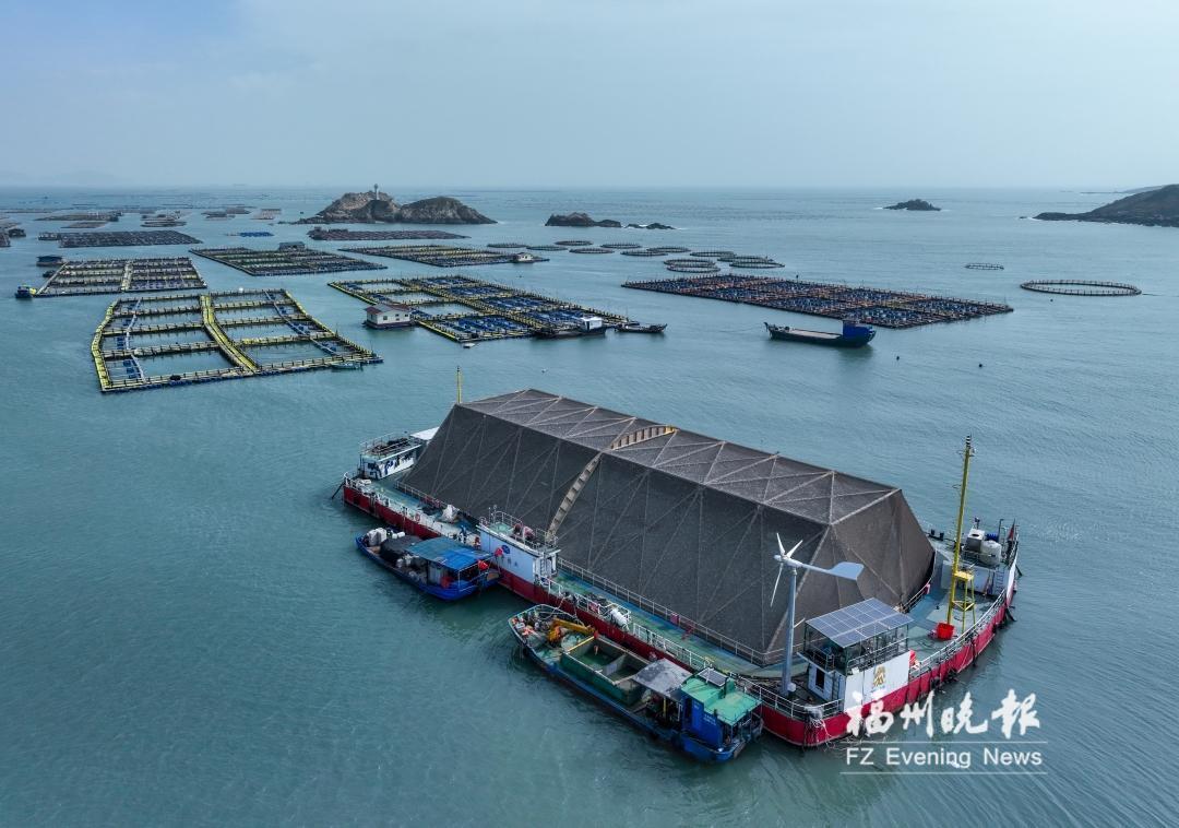 1769480223595599.jpg 1769480223595599.jpg