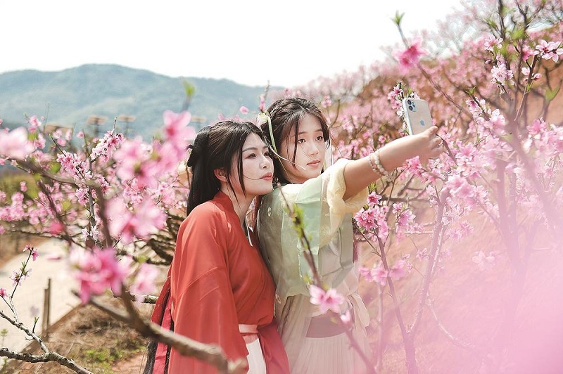 1769736878901914.jpg b4492e83-5c78-4b0c-8efd-6ce866a914e7.jpg