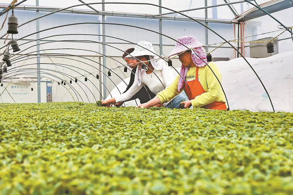 1772588428330294.jpg 1772588428330294.jpg