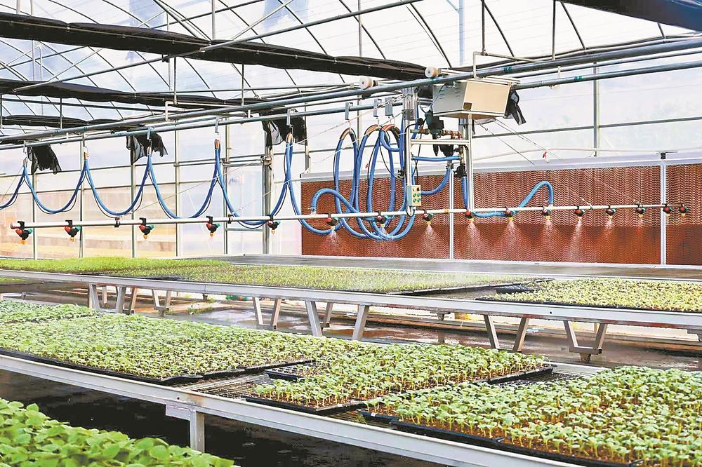 1772588442582808.jpg 1772588442582808.jpg