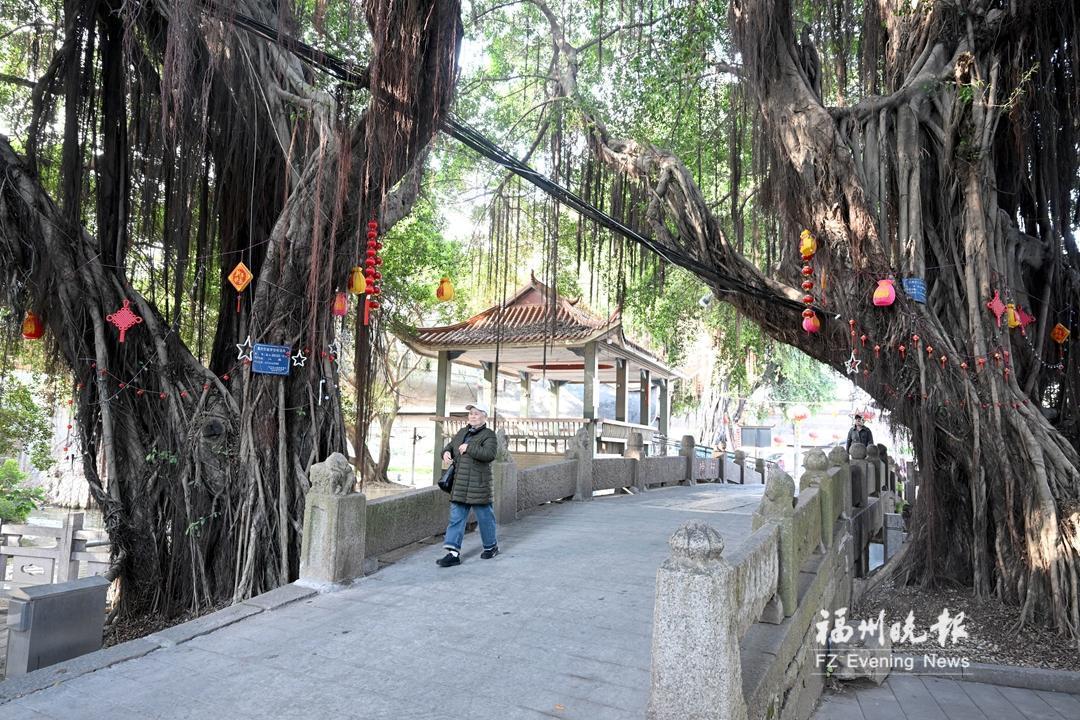 1774832599412046.jpg 1774832599412046.jpg