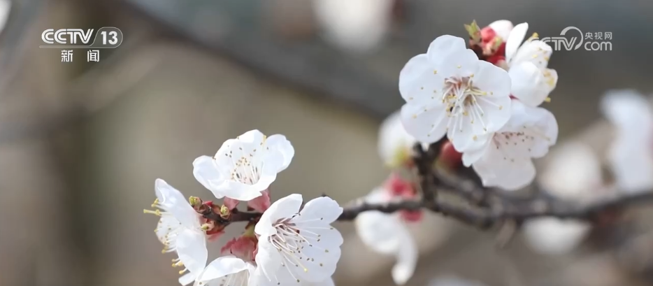 1774838168406791.png 1774838168406791.png