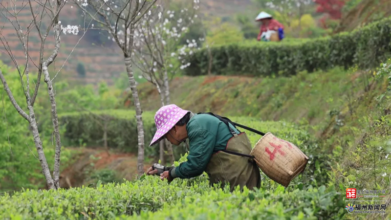 1775546182157791.png W020260406295960015291.png