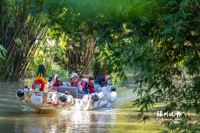 1775549731638486.jpg 17755182912028.jpg