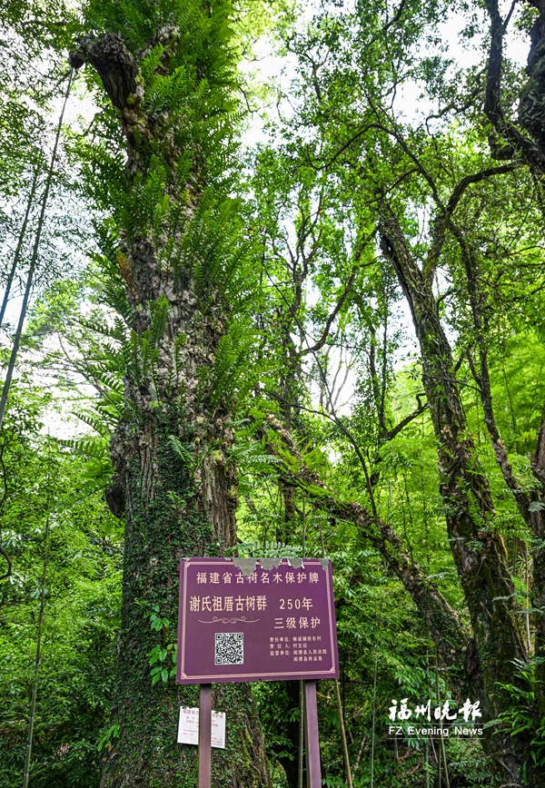 17806267212872.jpg