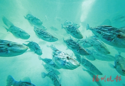 1787108768881612.jpg 20260813_A05_01_57.jpg