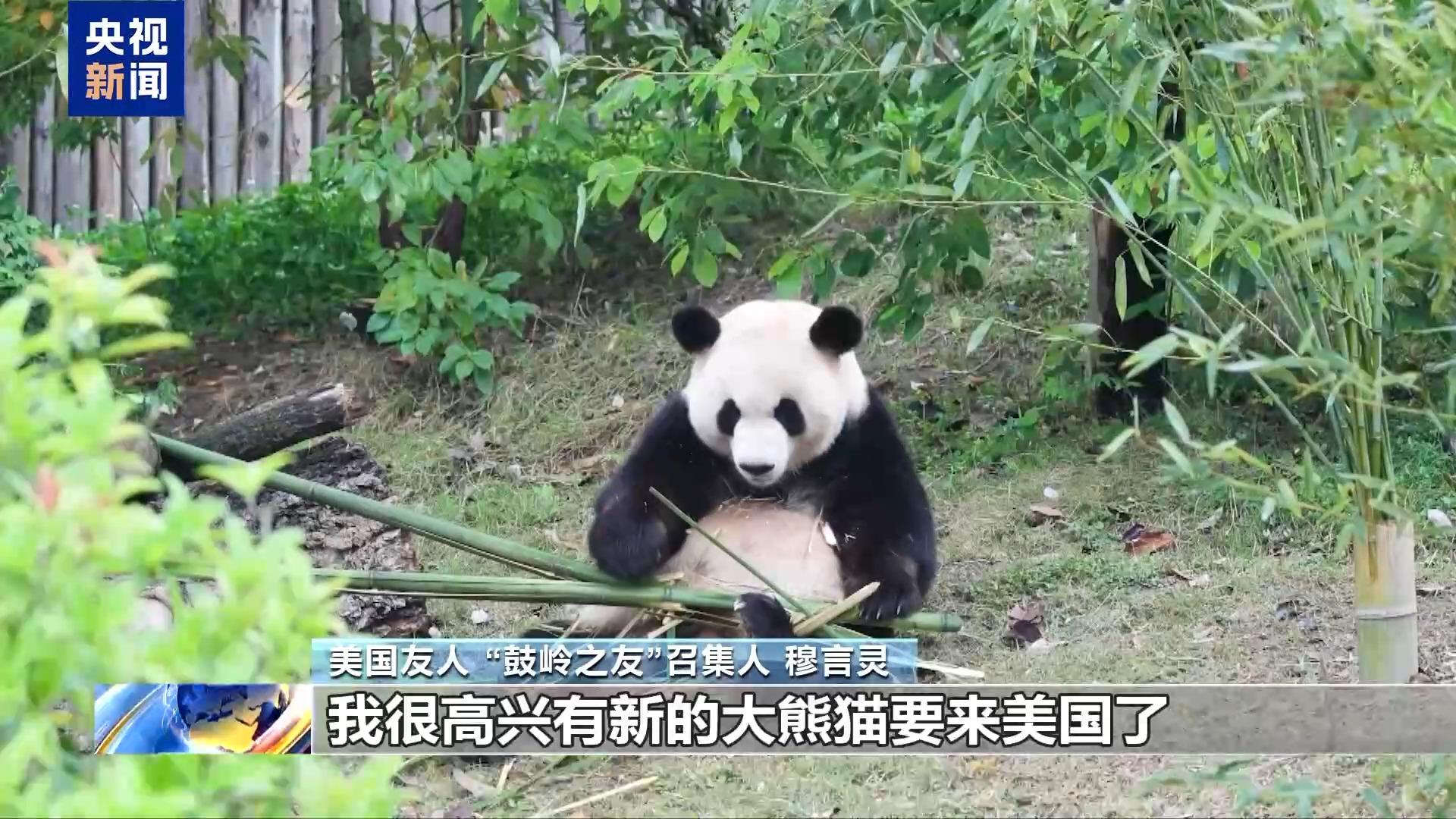 “鼓岭之友”召集人：期待中美青年继续友好交流 促进理解